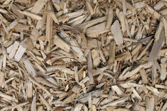 biomass boilers Crabgate